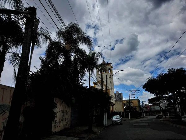 Vegetação Parque Uma Grande Cidade Parque Ecológico Lugar Grande Beleza — Fotografia de Stock