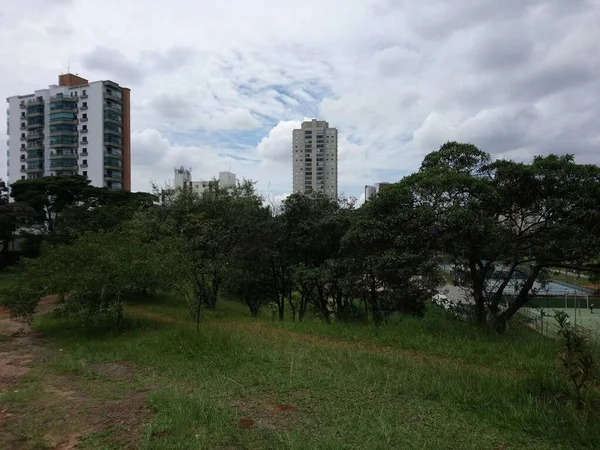 Parkvegetation Einer Großstadt Ökologischer Park Ein Ort Von Großer Schönheit — Stockfoto