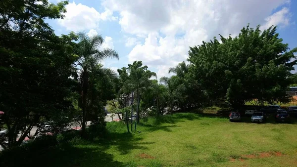 Park Vegetation Storstad Ekologisk Park Plats Med Stor Skönhet Och — Stockfoto