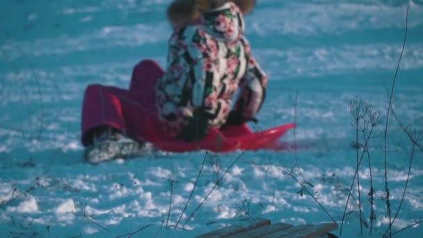 Kinderen Sled op een met sneeuw bedekte Slide — Stockvideo