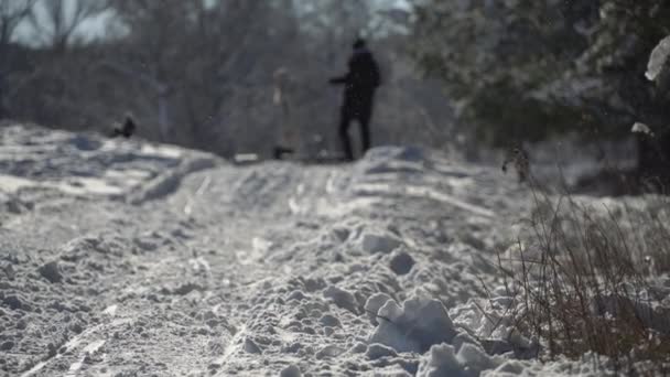 La famiglia è slittino in una foresta innevata. — Video Stock