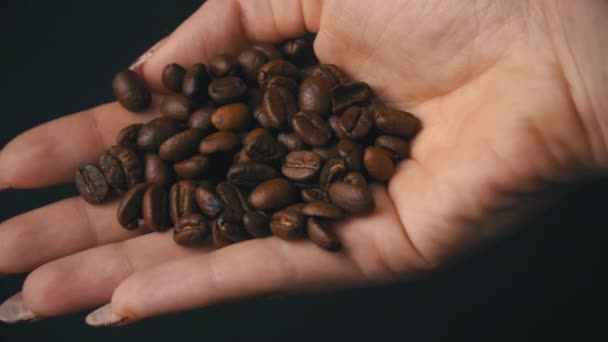 Koffiebonen zijn opgehangen uit vrouwelijke handen — Stockvideo