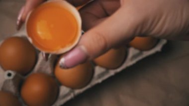 Dişi El Kırık Tavuk Yumurtası Tutar