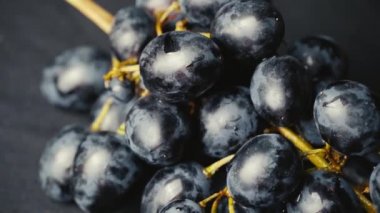 Bir demet Mavi Islak Üzüm Yavaşça Dönüyor.