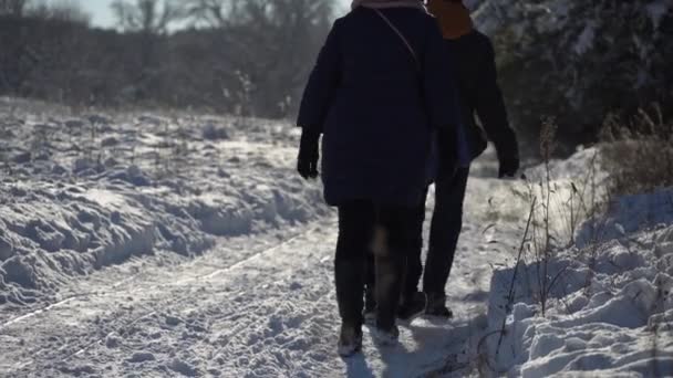 The Family is Sledding in a Snowy Forest. — 图库视频影像