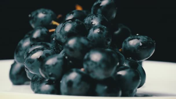 Un racimo de uvas húmedas azules girando lentamente. — Vídeo de stock