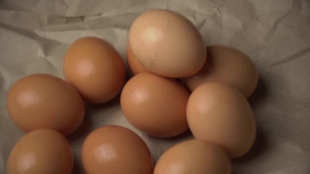 Mão feminina toma um ovo de galinha — Vídeo de Stock