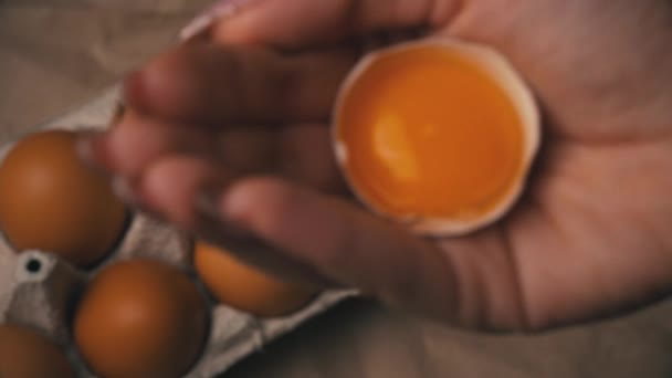 Female Hand Holds a Broken Chicken Egg — Stock Video