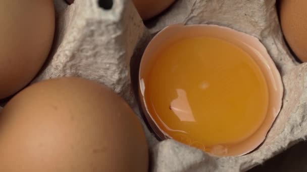 Поруйноване яйце лежить у контейнері між цілими яйцями — стокове відео