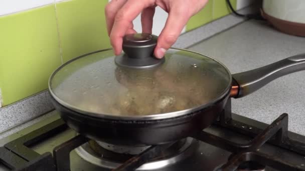 Houby a cibule jsou smažené v pánvi v domácí kuchyni. — Stock video
