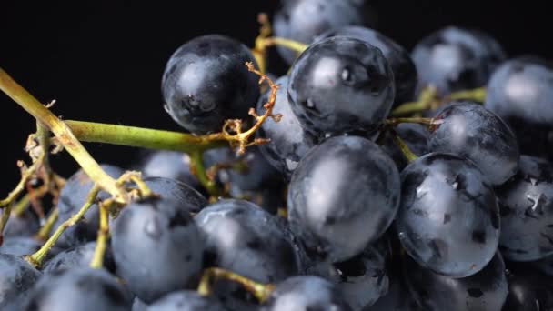Букет синього вологого винограду обертається повільно . — стокове відео