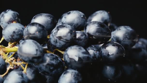 Un racimo de uvas húmedas azules girando lentamente. — Vídeo de stock