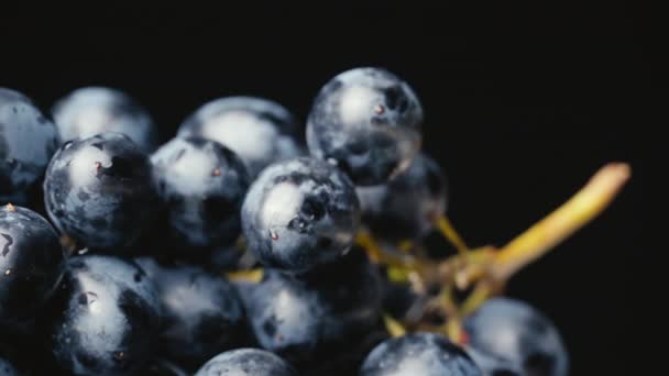 A Bunch of Blue Wet Grapes Spinning Slowly. — Vídeo de Stock