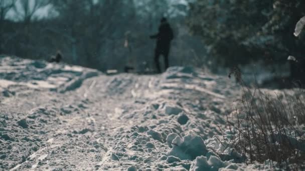 The Family is Sledding in a Snowy Forest. — Vídeo de Stock