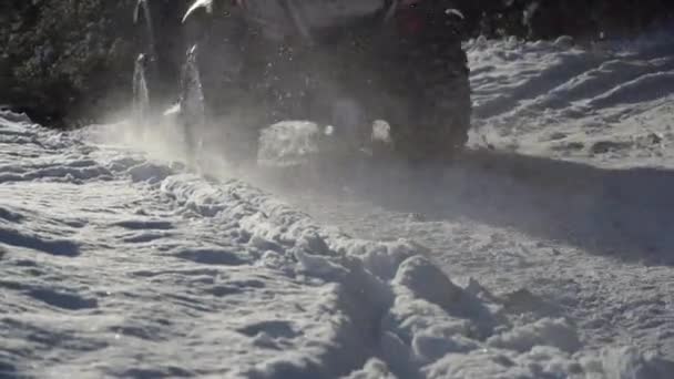 Race on ATVs Through the Snowy Forest. — Stockvideo