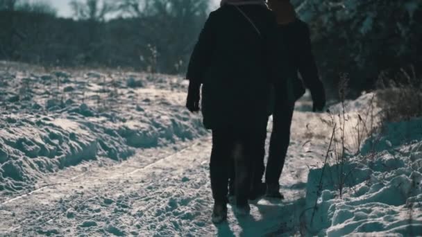 The Family is Sledding in a Snowy Forest. — Vídeo de Stock