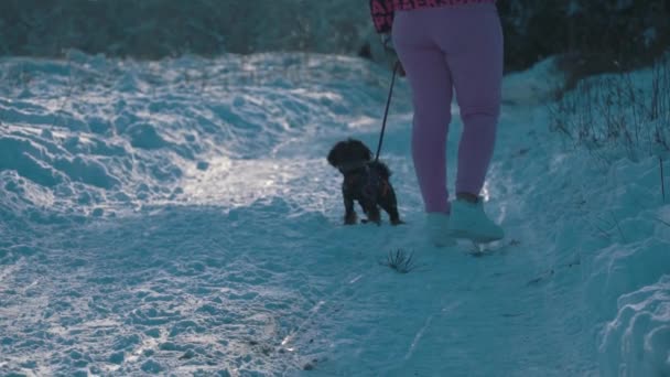 Chica joven con un perro está caminando a través del bosque de invierno nevado — Vídeos de Stock