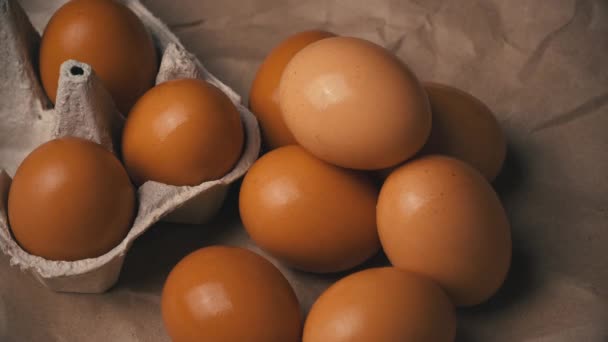 Женская рука берет куриное яйцо из контейнера — стоковое видео