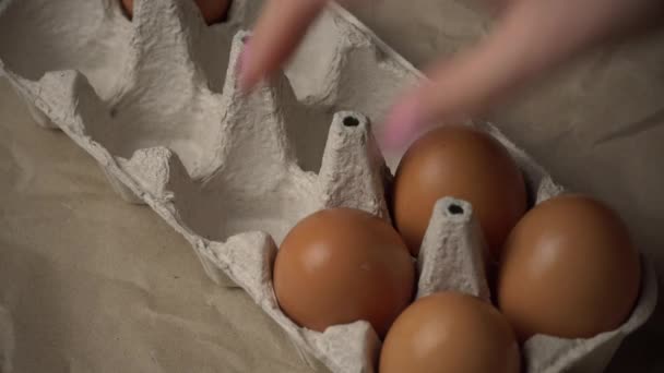 女人的手从集装箱里拿鸡蛋 — 图库视频影像