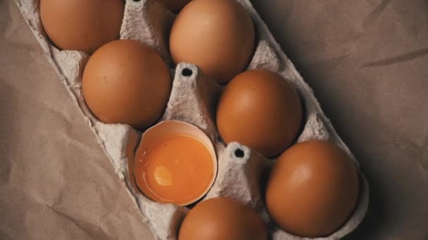 The Broken Egg lies in the Container Among the Whole Eggs — Stock Video