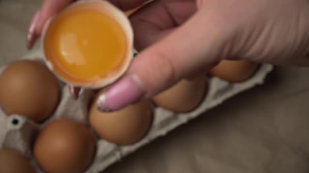 Vrouwelijke hand houdt een gebroken kippenei vast — Stockvideo