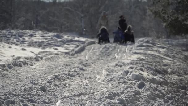 Familien er Sledding i en snødekt skog. – stockvideo
