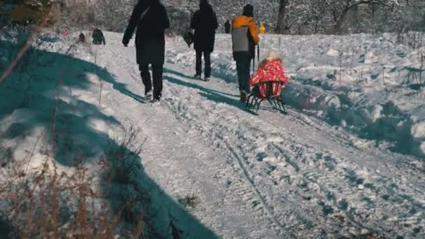 La familia está en trineo en un bosque nevado. — Vídeos de Stock