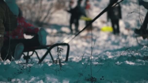 Kinderen Sled op een met sneeuw bedekte Slide — Stockvideo