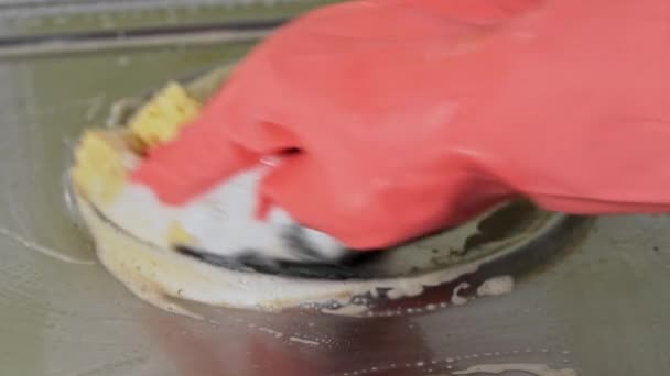 Manželka v rukavicích omývá špinavý povrch plynového sporáku žínkou — Stock video