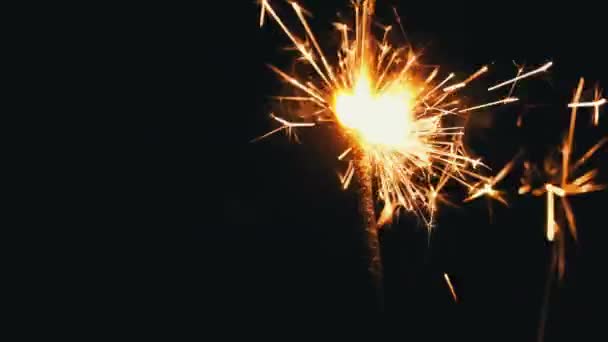 Festive Sparkler Emits Sparks on a Black Background Close-up — Stok Video