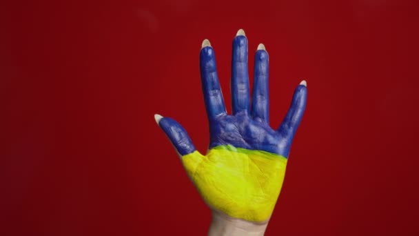 Palm van het meisje met de vlag van Oekraïne symboliseert vrede in haar land — Stockvideo