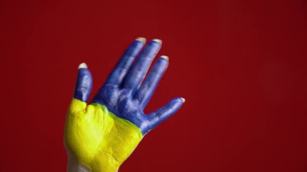 Palm of the Girl with the Flag of Ukraine Welcomes and Symbolizes the World — Stock Video