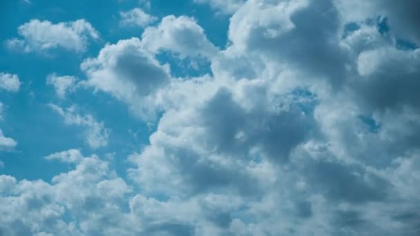 Zeitraffer Weiße flauschige Olakas schweben an einem sonnigen Tag durch den blauen Himmel — Stockvideo