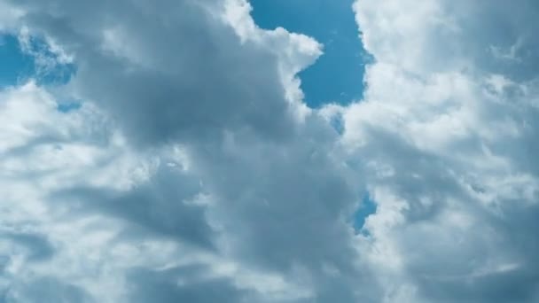 Timelapse Blanco Olakas esponjosos flotan a través del cielo azul en un día soleado — Vídeos de Stock