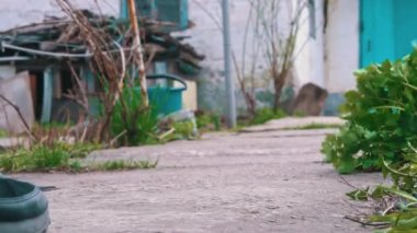 Kırsal Yol 'da Kırık Asfalt Yavaş Hareket' le Spor Ayakkabılı ve Kot Giyen Kız