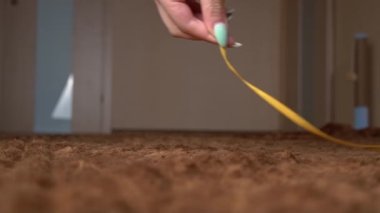 İskoç Gri Pofuduk Neşeli Kedi Yavrusu Sağdan Sola Kayıttan Sonra Koşuyor