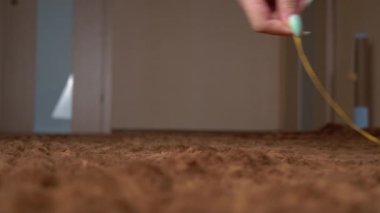 İskoç Gri Pofuduk Neşeli Kedi Yavrusu Sağdan Sola Kayıttan Sonra Koşuyor