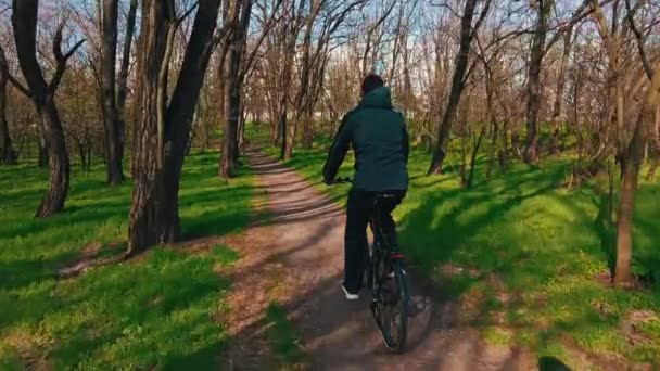 Mladý muž jede na kole po stezce v zeleném lese, zadní pohled v pomalé Mo — Stock video