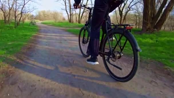 Mladý muž jede na kole po stezce v zeleném lese, zadní pohled v pomalé Mo — Stock video
