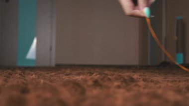 İskoç Gri Pofuduk Neşeli Kedi Yavrusu Sağdan Sola Kayıttan Sonra Koşuyor