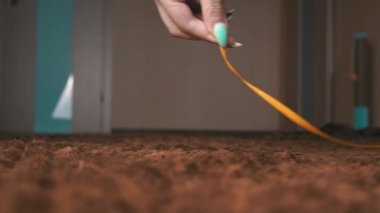 İskoç Gri Pofuduk Neşeli Kedi Yavrusu Sağdan Sola Kayıttan Sonra Koşuyor