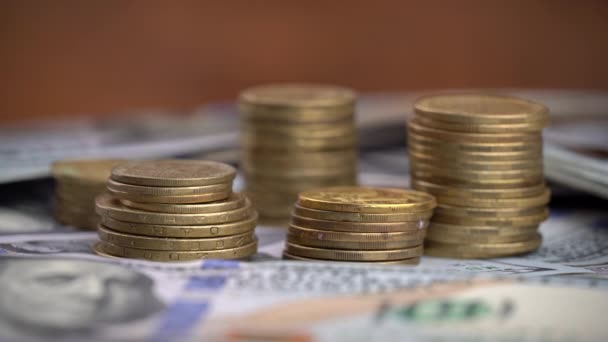 Girl Counts One Hundred Dollar Bills Next to the Columns of Coins — Video