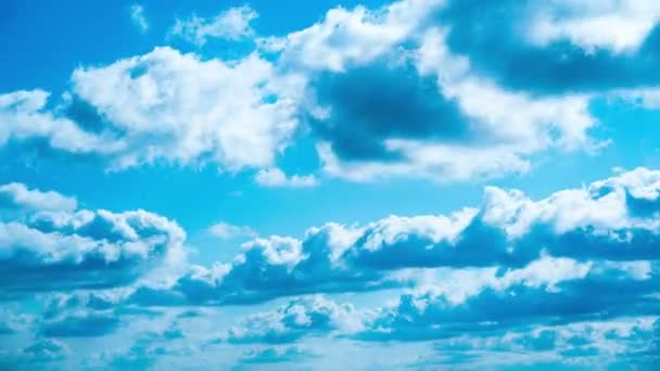 Timelapse White Fluffy Olakas Float Through the Blue Sky on a Sunny Day — Stock video