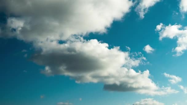 Tüylü Beyaz Fluffy Olakas Güneşli bir günde Mavi Gökyüzünde süzülüyor — Stok video