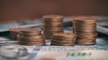 Kız Sikke Sütunlarının Yanında 100 Dolar Sayıyor