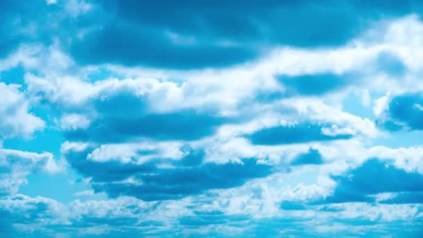 Timelapse witte donzige olaka 's zweven door de blauwe lucht op een zonnige dag — Stockvideo