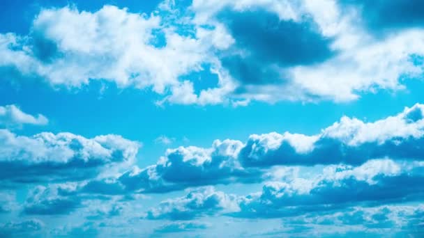 Tüylü Beyaz Fluffy Olakas Güneşli bir günde Mavi Gökyüzünde süzülüyor — Stok video