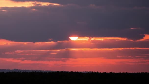 Оранжевый закат в желтом небе — стоковое видео