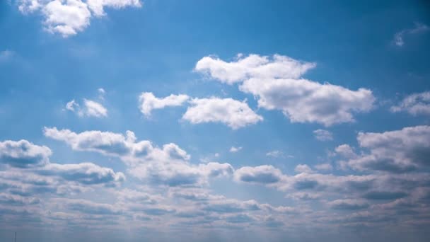 Timelapse witte donzige olaka 's zweven door de blauwe lucht op een zonnige dag — Stockvideo