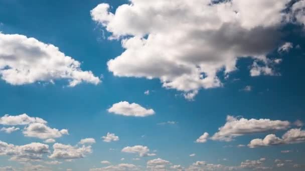 Timelapse Blanco Olakas esponjosos flotan a través del cielo azul en un día soleado — Vídeo de stock